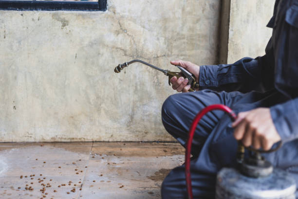 Professional Pest Control in Wilkinson Heights, SC